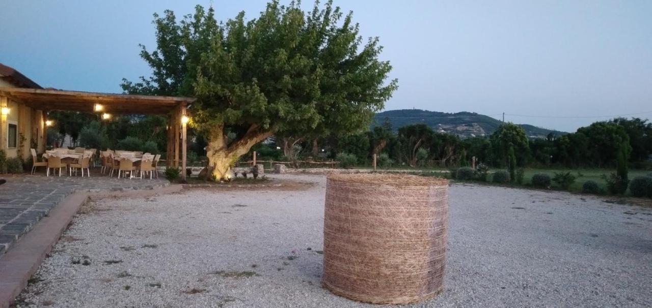 B&B Tenuta San Michele Capaccio Exterior photo